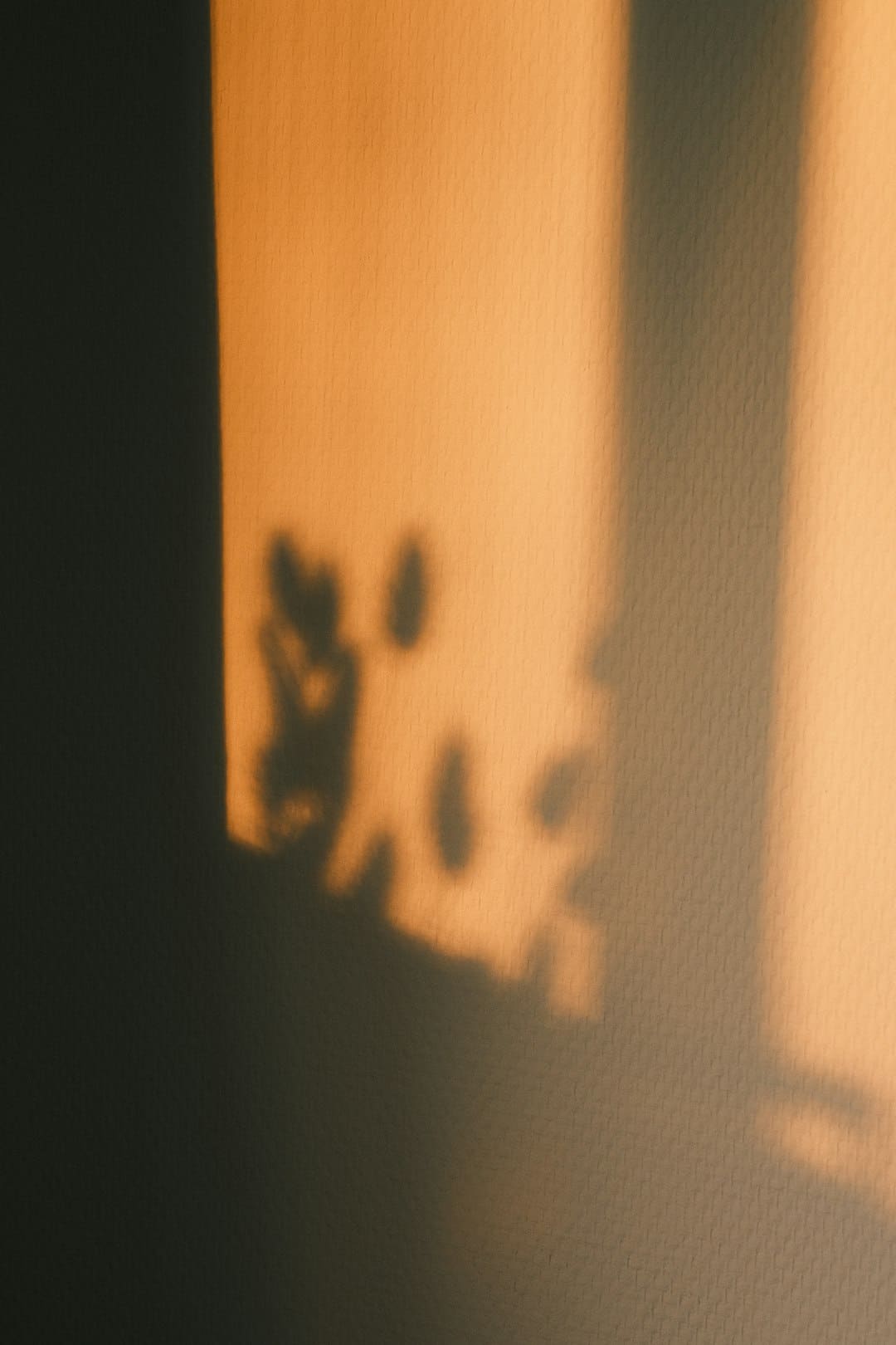 每经热评丨于东来的愤恨：一个抱负主义者的顽强